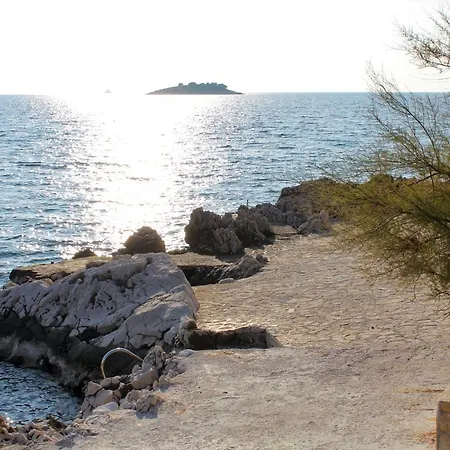 By The Sea - 12246 * 로고즈니차